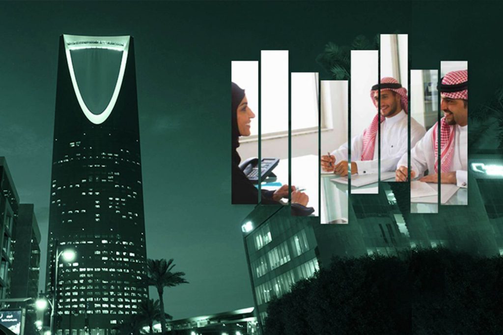 إنشاء ودعم المؤسسات الفردية