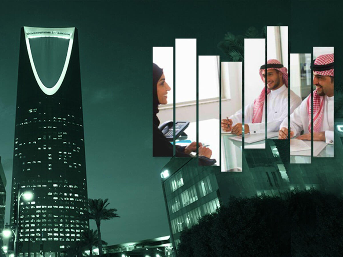 إنشاء ودعم المؤسسات الفردية